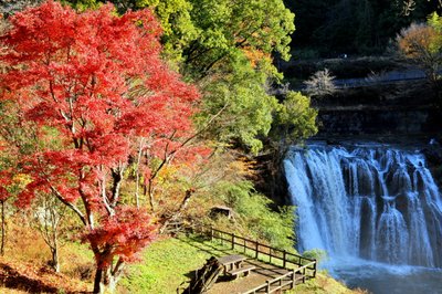 🏞️ 용문 폭포 (류몬노타키) 이미지 2
